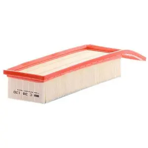 Mann filter C 38 130 Filtre à air - VÉHICULE DE TOURISME + UTILITAIRES pas cher