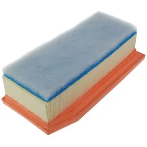 MANN FILTER Filtre à air C27030 pas cher
