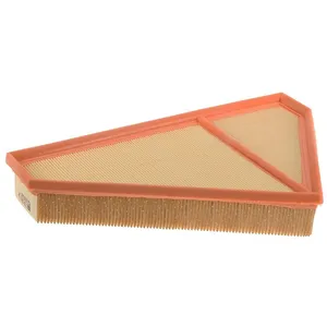Mann filter C 36 008 Filtre à air - VÉHICULE DE TOURISME + UTILITAIRES pas cher