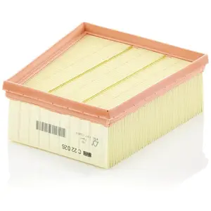 Mann filter C 22 026 Filtre à air - VÉHICULE DE TOURISME + UTILITAIRES pas cher