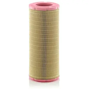 Mann filter Filtre à air (Ref: C 24 906/2) pas cher