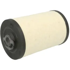 Mann filter BFU 811 Filtre à carburant pas cher