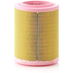 MANN-FILTER C 18 003 Filtre à air - VÉHICULE DE TOURISME + UTILITAIRES pas cher