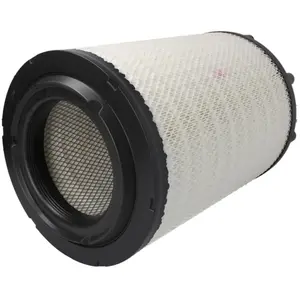 Mann filter Filtre à air (Ref: C 31 014) pas cher