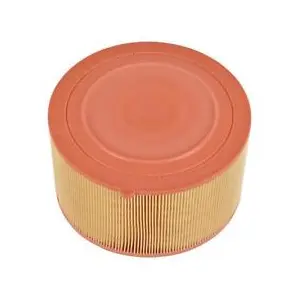 MANN-FILTER Filtre à air pour FORD: Ranger (Ref: C 22 024) pas cher