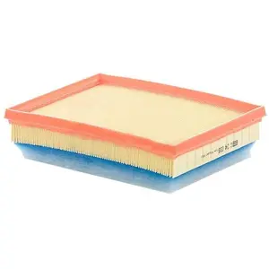 Mann filter C 24 036 Filtre à air - VÉHICULE DE TOURISME + UTILITAIRES pas cher