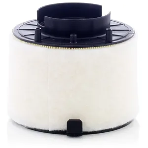 Mann filter C 17 009 Filtre à air - VÉHICULE DE TOURISME + UTILITAIRES pas cher