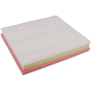 Mann filter Filtre à air pour FORD: Transit/Tourneo (Ref: C 34 005/1)