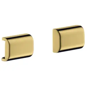 AXOR Universal Accessories Cache de rail, 42871990,Vendu parkaufland