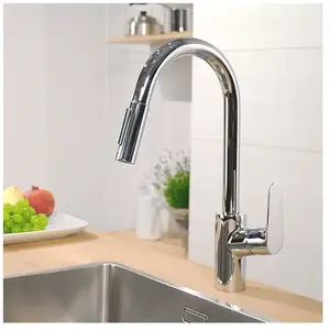 Comparateur de prix : Hansgrohe Robinet de cuisine avec douchette Focus M41 240 2 jets chromé TU