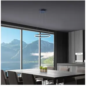 Paul Neuhaus Titus Suspension, LED avec variateur, 2381-13, pas cher