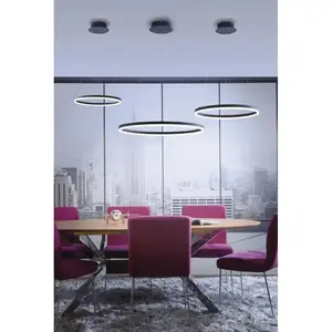 Paul Neuhaus Titus Suspension, LED avec variateur, 2383-13,