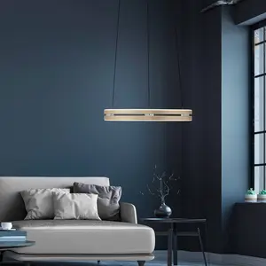 Comparateur de prix : PURE Suspension LED E-Loop, laiton, Ø 50 cm Aluminium CCT