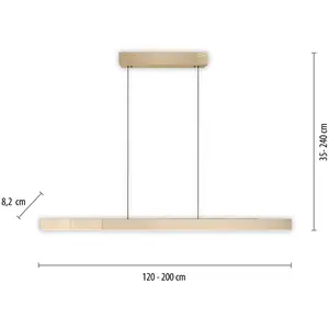 Comparateur de prix : Paul Neuhaus PURE Suspension LED Moto-Rise, laiton mat, aluminium CCT