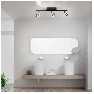 Paul Neuhaus Sileda Spot de plafond, LED, 6785-13,