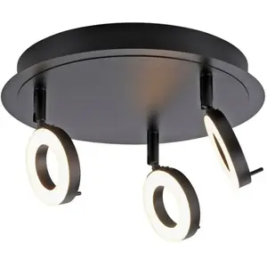 Paul Neuhaus Sileda Spot de plafond, LED, 6788-13,
