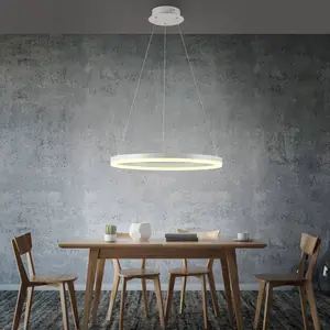 Paul Neuhaus Suspension LED Titus, Ø 60 cm, blanc, intensité variable pas cher