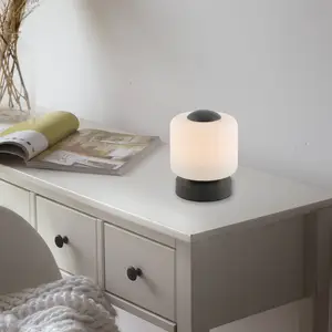 Comparateur de prix : Paul Neuhaus lampe de table LED Bota, anthracite, verre, intensité variable