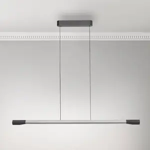 Paul Neuhaus Suspension LED Hoop, couleur aluminium, 128 cm, intensité variable pas cher