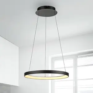 Comparateur de prix : Paul Neuhaus Suspension LED Hoop, noir, Ø 57 cm, intensité variable