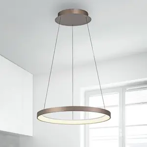 Comparateur de prix : Paul Neuhaus Suspension LED Hoop, marron, Ø 57 cm, intensité variable