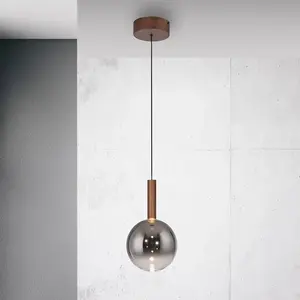 Paul Neuhaus Bowl Suspension LED, 2284-23, pas cher