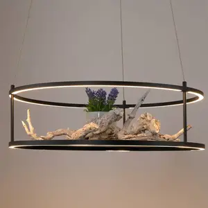 Paul Neuhaus Contura Suspension LED, 2442-18, pas cher