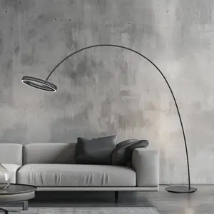 Comparateur de prix : Lampe sur pied LED PURE Loop-Bow, noir, portée 290 cm, CCT
