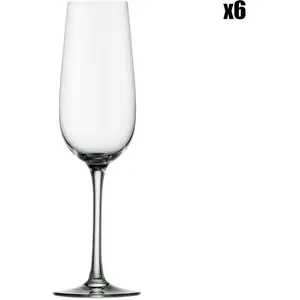 Stolzle Lot de 6 Flûtes à champagne en cristallin, transparent, 20 cl pas cher