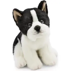 nici Doudou chien Boston Terrier Autres pas cher