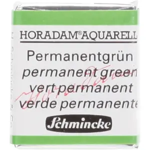 Comparateur de prix : Schmincke Peinture aquarelle Horadam demi-godet extra-fine 526 - Vert permanent
