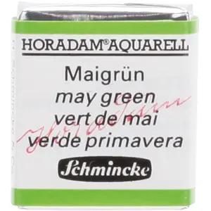 Comparateur de prix : Schmincke Peinture aquarelle Horadam demi-godet extra-fine 524 - Vert de mai