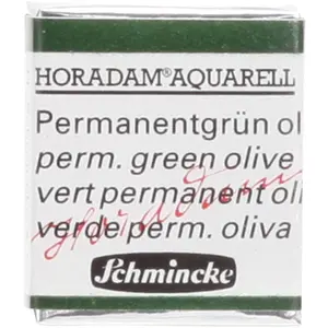 Comparateur de prix : Schmincke Peinture aquarelle Horadam demi-godet extra-fine 534 - Vert ...