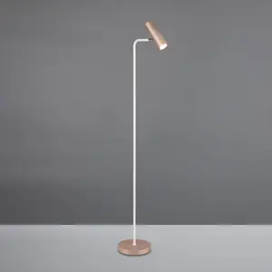 Comparateur de prix : TRIO Leuchten Marley Lampadaire, 412400165,