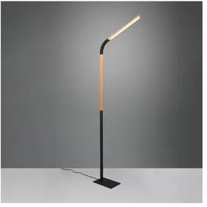 Comparateur de prix : TRIO Leuchten Norris Lampadaire LED, 445210132,