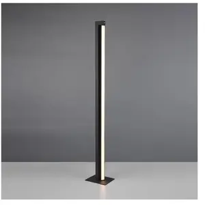 TRIO Leuchten Seeker Lampadaire LED, 448810132, pas cher