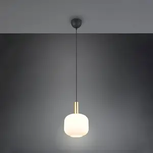 Comparateur de prix : Trio Lighting Suspension Diva, à 1 lampe, laiton, opale, métal, verre