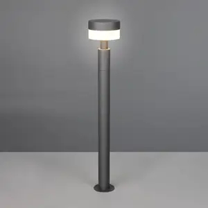 Trio Lighting Borne lumineuse LED Mackenzie, hauteur 95 cm, anthracite...Vendu parluminaire