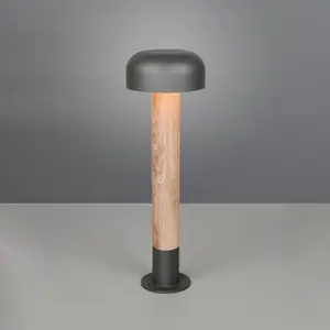 Trio Lighting Borne lumineuse Fraser, gris/aspect bois, aluminium, IP5... pas cher