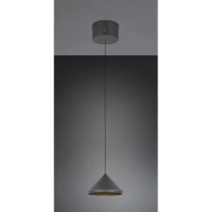 TRIO Leuchten Laguna Suspension LED, 336210132, pas cher