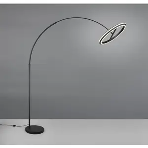 Trio Lighting Lampadaire LED Amador, noir, hauteur 205 cm MétalVendu parluminaire