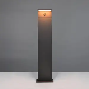 Trio Lighting Bornes lumineuses LED Ravi, anthracite, hauteur 100 cm, ... pas cher