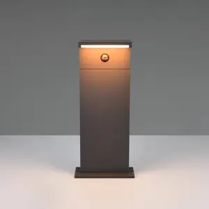 Lampe De Jardin Moderne Ravi Anthracite Avec Capteur 50 Cm - 538669142Vendu parluminaire