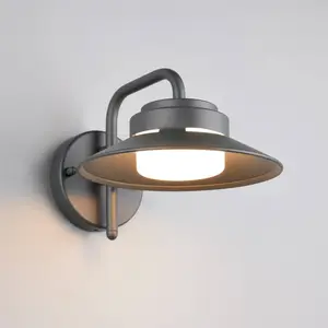 Trio Lighting Applique d'extérieur Atrato, anthracite, Ø 20 cm, métal