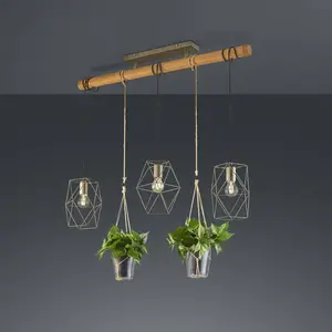 Comparateur de prix : Trio plant plafonnier suspendu moderne à 3 lumières, nickel antique