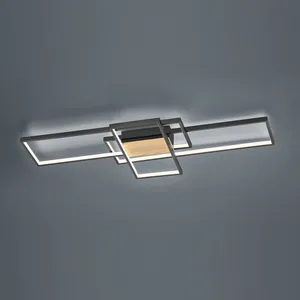 Lumière Plafonnier/applique Led intégrée luminosité variable - Trio - TucsonVendu pardarty