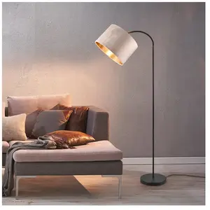 Comparateur de prix : TRIO Leuchten Julieta Lampadaire, 419090144,