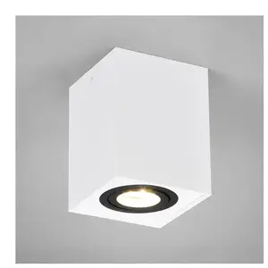 TRIO Leuchten Biscuit Projecteur, GU10, 613000134, pas cher