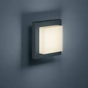Comparateur de prix : Trio Lighting Applique d'extérieur LED Hondo, anthracite