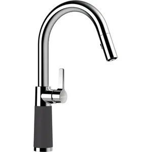 Schock SC-520 Mitigeur de cuisine pivotant avec douchette extractible, 555120DSK,